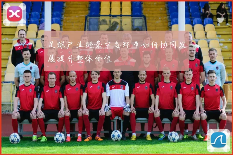 足球产业链条中各环节如何协同发展提升整体价值