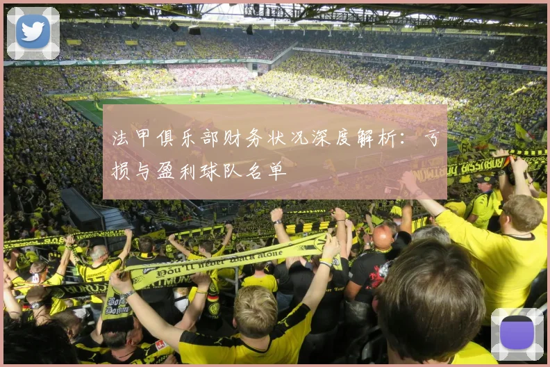法甲俱乐部财务状况深度解析：亏损与盈利球队名单